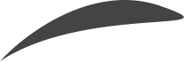 vector